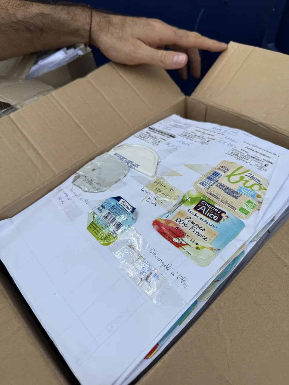 Carton de fiches HACCP • étiquettes de yaourts et compotes collées, annotées à la main