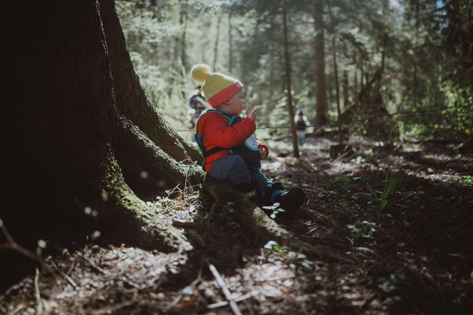 Un tout-petit avec un bonnet jaune assis au pied d'un grand arbre en forêt